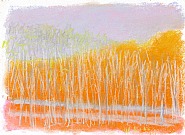 Gray and Orange