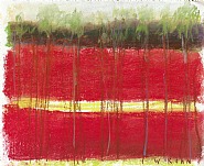 Yellow Stripe
