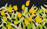 Yellow Tulips