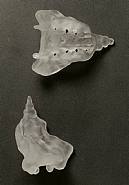 Kiki Smith - Tail (Glass) h: 1.5 x w: 4.5 x d: 5 in / h: 3.8 x w: 11.4 x d: 12.7 cm