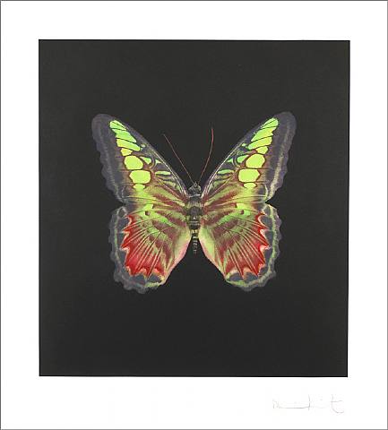  Damien Hirst, The Souls on Jacob’s Ladder Take Their Flight