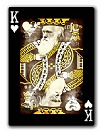 Darwin