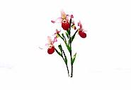 Marc Quinn - Winter Garden III (Photographs) h: 33 x w: 49 in / h: 83.8 x w: 124.5 cm