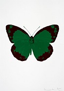 Damien Hirst - The Souls II – Emerald Green/Burgundy/Blind Impression (Prints and Multiples) h: 28 x w: 20 in / h: 71.1 x w: 50.8 cm