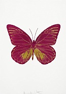 Damien Hirst - The Souls I – Fuchsia Pink/Oriental Gold (Prints and Multiples) h: 28 x w: 20 in / h: 71.1 x w: 50.8 cm