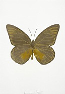 Damien Hirst - The Souls I – Smoke/Oriental Gold (Prints and Multiples) h: 28 x w: 20 in / h: 71.1 x w: 50.8 cm