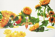 Marc Quinn - Winter Garden I (Photographs) h: 33 x w: 49 in / h: 83.8 x w: 124.5 cm