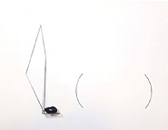 Phonétique
