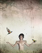 Broken Dreams # 5