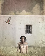 Broken Dreams # 9