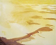 Beach-Islands-Dusk