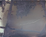 Trees-fence-haze
