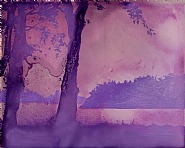 Trees-lake-dusk 2