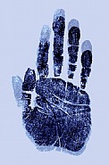 The Untold Intimacy of Digits (UID)