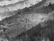 Jingogae, Winter
