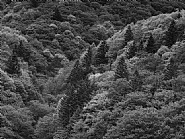 Suha Valley, Summer