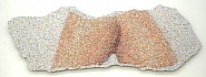 Bended Arms