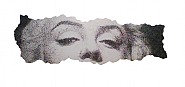 Shredded Media Monroe