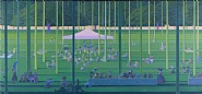 Picnic in Hawaii