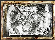Peter Beard - Buffalo Blood Portrait, Glen Cottar's, 1964