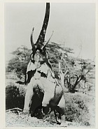 Peter Beard - Elephant reaching for the last branch on a tree, Kenya, 1965