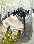 Panther