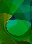 Disc