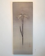 A Single Flower