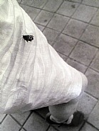 La seda de mi vestido, 2008