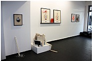Installation Views