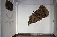Vista de la Exposición, Con pocas palabras