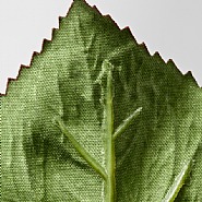 Untitled, from the series De la posibilidad estética del vacío