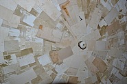 Círculo de las cartas (detail II)