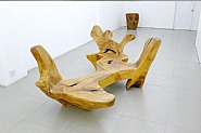 Installation View: <i>Hugo França</i>