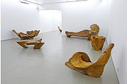 Installation View: <i>Hugo França</i>