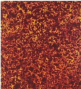 Marc Rembold<br>Serie Light in Colour: Fireballs