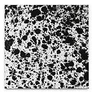 Marc Rembold<br>Serie Light in Colour: Black & White