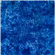 Marc Rembold<br>Serie Light in Colour: <br>Jump