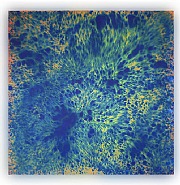 Marc Rembold<br>Maria