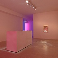 Installation view 'Instant Karma' at Laleh June Galerie Basel