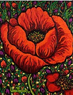 Poppy Love