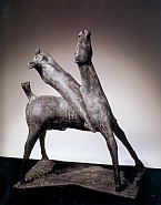 Cavaliere
