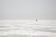 Far East: Other Side of Russia<br />Untitled 1