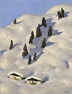 Almen im Schnee