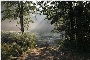 Barje 1 (from the series Sonata for Sun and Fog)