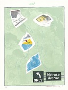 The Weather Series: Wind