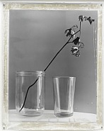 Nature Morte 10