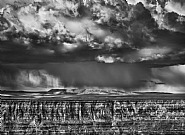 Grand Canyon, National Forest, Arizona, USA