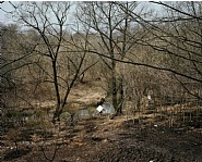 Matveevskoye I