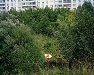 Otradnoye I